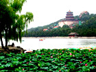 Forbidden City