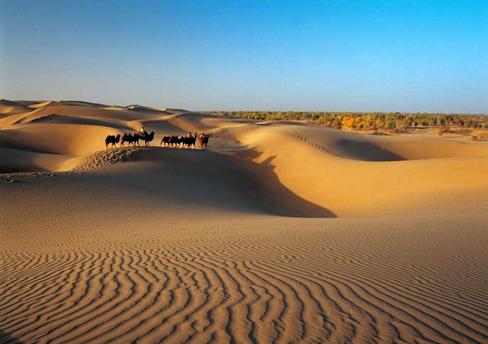 silk road caravans