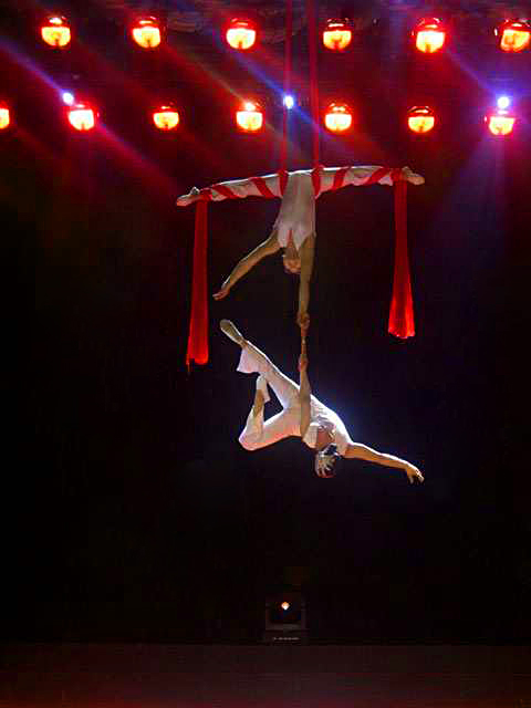 Acrobatic Shows