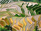 Longsheng terraced fields