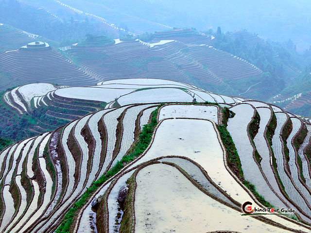 Longji Rice Terraces